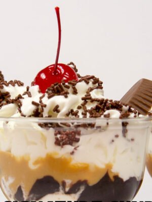 Single Scoop Delight